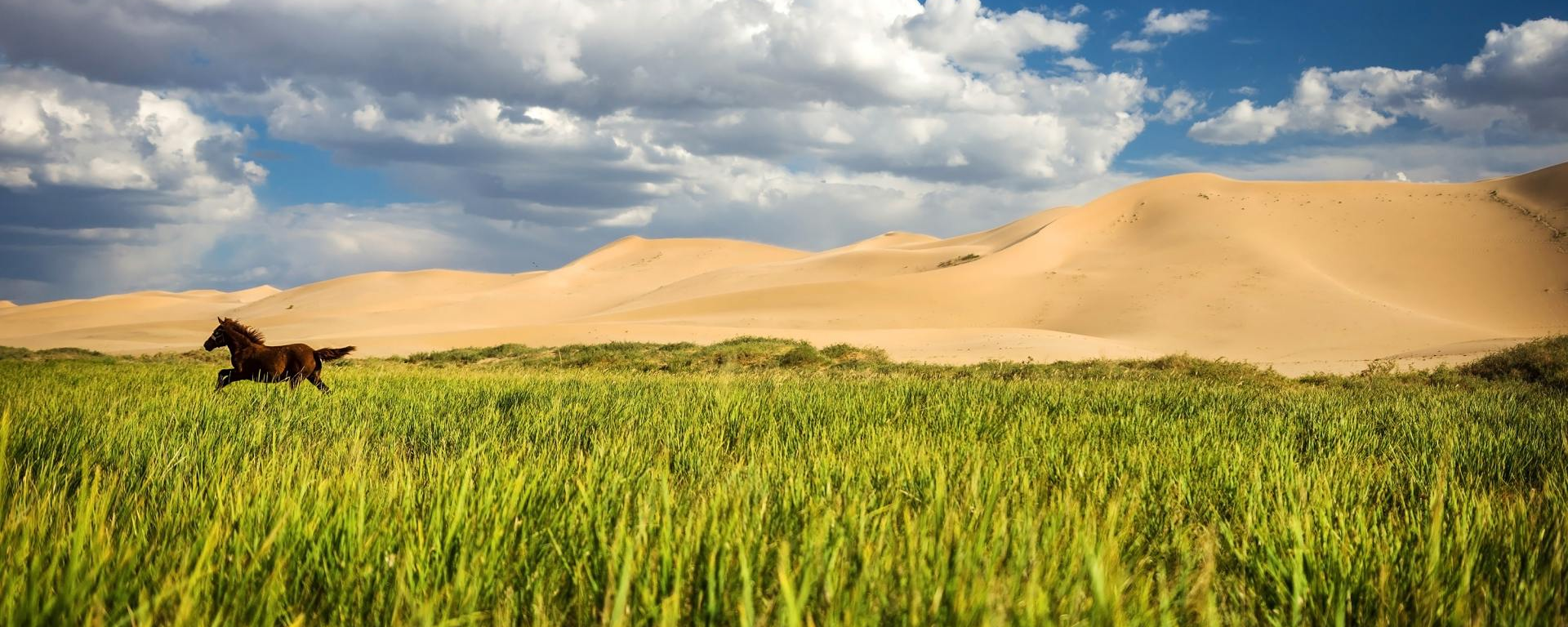 Steppenlandschaft in der Mongolei, Rundreise Mongolei