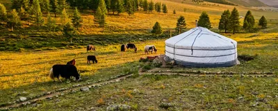 Jurte, Steppe, Mongolei Rundreise