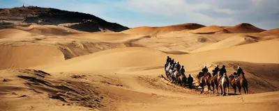 Karawane, Wüste Gobi, Mongolei Rundreise