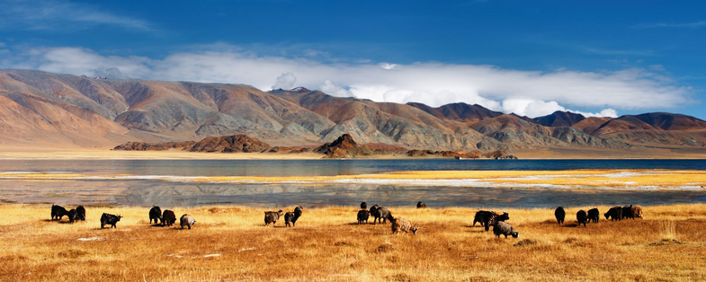 Steppenlandschaft in der Mongolei, Mongolei Reise