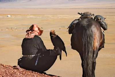 Falkner mit Pferd, Mongolei Rundreise