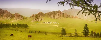 Terelj Nationalpark, Mongolei Rundreise